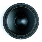 Низкочастотный драйвер B&C 12NDL76