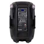 Активная акустическая система PEAVEY PBK 12 FM