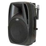 Активная акустическая система PEAVEY PBK 12 FM