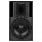 RCF C 3110-96 двухполосная АС